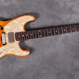 Robin Guitars  Ranger Semi Hollow - USA 2007