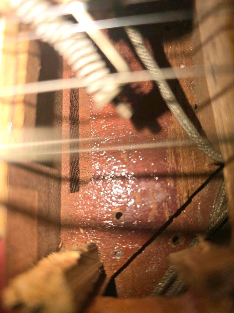 ek-yams-ced7a7bc6b91461db90ca9eb59b8d992-IMAGE_1757155326071_5770945591679280429 ek-yams-ced7a7bc6b91461db90ca9eb59b8d992-IMAGE_1757155326071_5770945591679280429